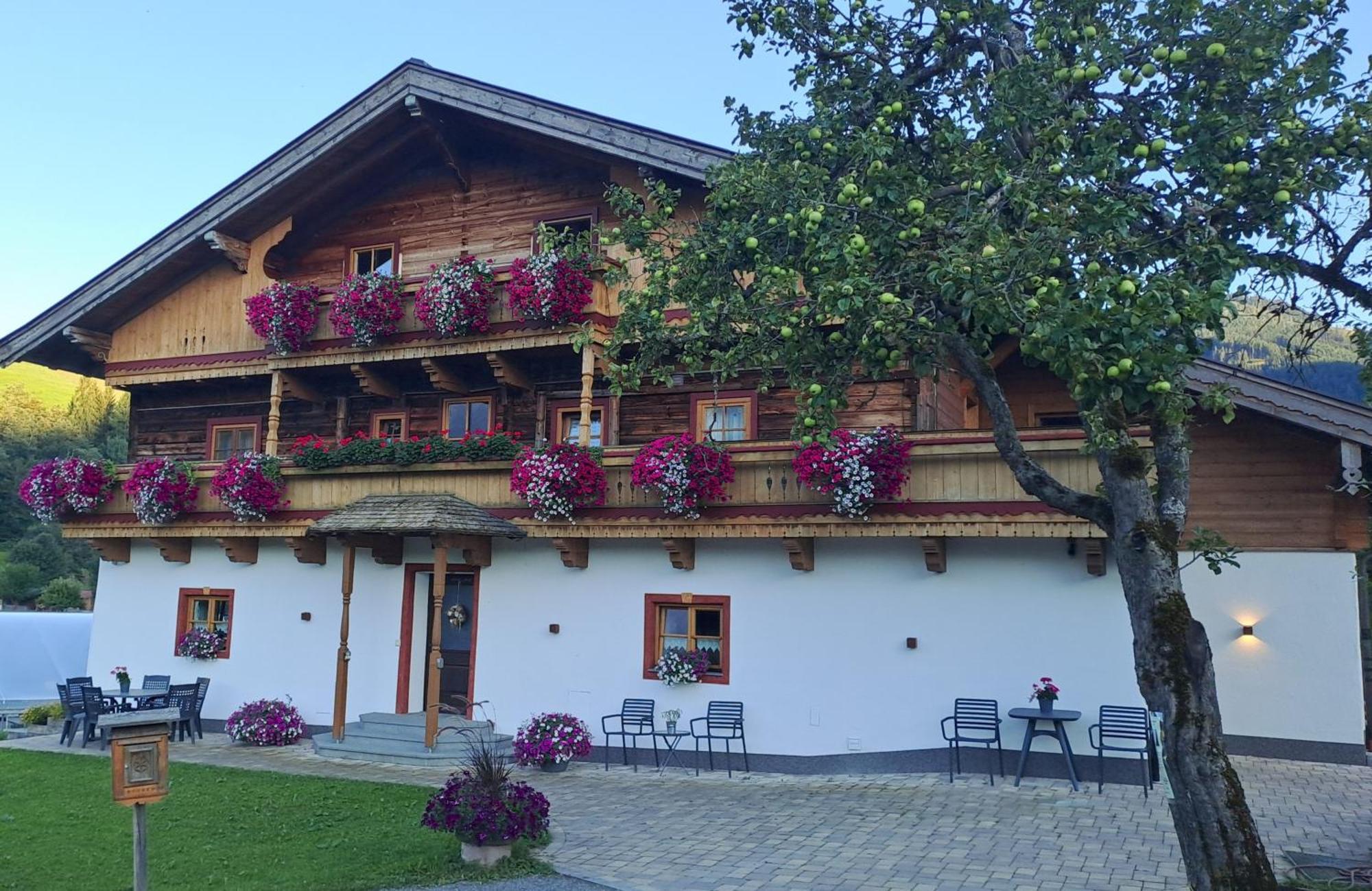 Ferienwohnung Steinernes Meer Maria Alm am Steinernen Meer Exterior photo